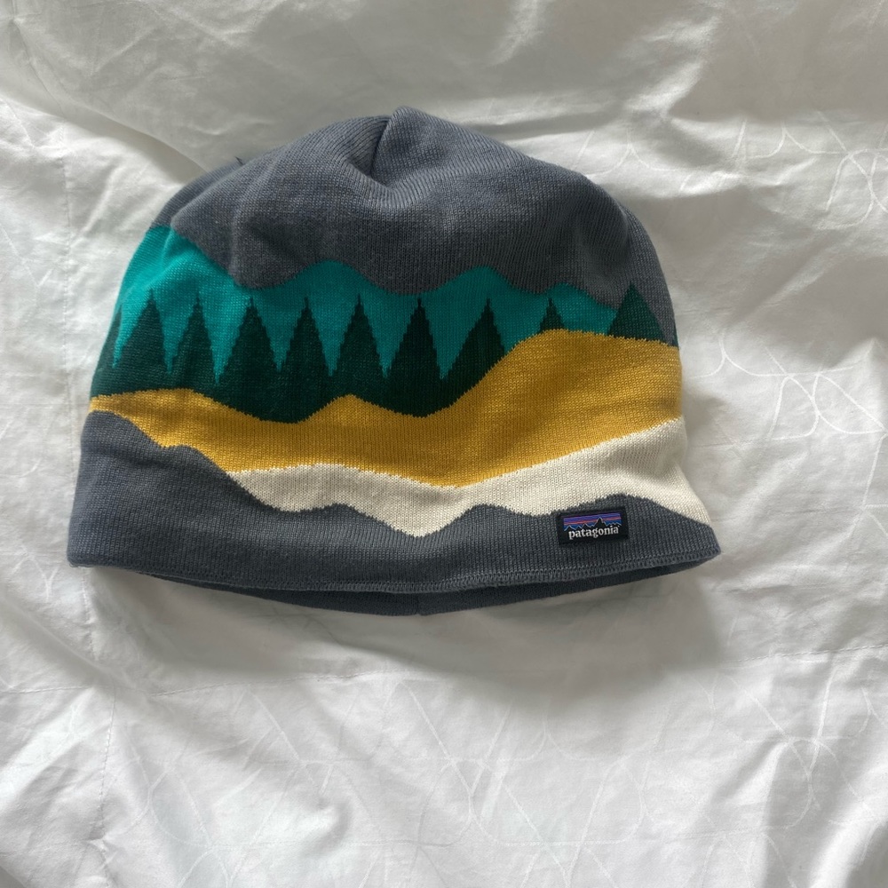 Patagonia Beanie